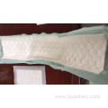 disposable insert pad Women